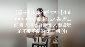 【重磅】良家约啪大神【dulianmaomao】极品人妻 床上好骚 大神是真会玩 人妻被玩的不要不要的 第三期 (4)