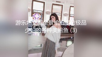 游乐场女厕全景偷拍多位极品少妇的各种美鲍鱼 (3)