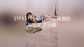 STP33755 糖心Vlog 报恩的祢豆子 芝士猫