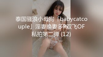 泰国骚浪小母狗「babycatcouple」淫妻换妻多P双飞OF私拍第二弹 (12)