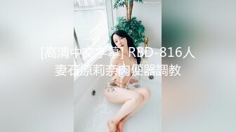 [高清中文字幕] RBD-816人妻石原莉奈肉便器調教