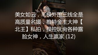 美女如云，车模外围三线全是高质量名媛，推特金主大神【北王】私拍，操控玩肏各种露脸女神，人生赢家 (12)