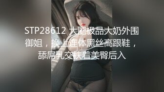 STP28612 大圈极品大奶外围御姐，换上连体黑丝高跟鞋，舔屌乳交扶着美臀后入