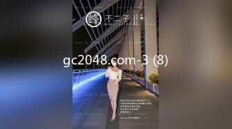 gc2048.com-3 (8)