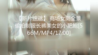 【新片速遞】 商场女厕全景偷拍制服长裤美女的小肥鲍[566M/MP4/17:00]