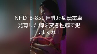 NHDTB-851 巨乳J○痴漢電車 発育した胸を変態性癖で犯しまくれ！