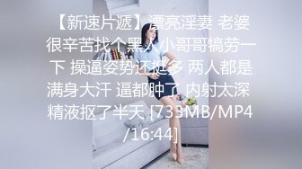 秀人网巨乳网红 朱可儿 2023最新付费福利，粉色透视大尺度 (1)