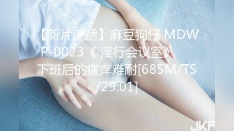 【新片速遞】麻豆狗仔 MDWP-0023《 淫行会议室》❤️下班后的瘙痒难耐[685M/TS/29:01]