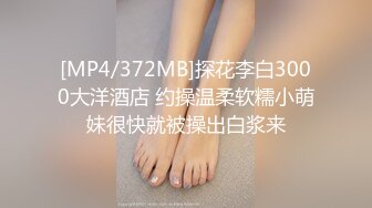 [MP4/372MB]探花李白3000大洋酒店 约操温柔软糯小萌妹很快就被操出白浆来