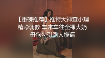 【重磅推荐】推特大神查小理精彩调教 车来车往全裸大奶母狗勾引路人摸逼