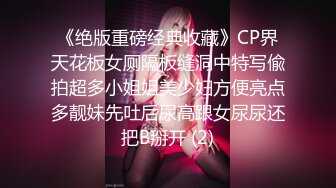 《绝版重磅经典收藏》CP界天花板女厕隔板缝洞中特写偸拍超多小姐姐美少妇方便亮点多靓妹先吐后尿高跟女尿尿还把B掰开 (2)