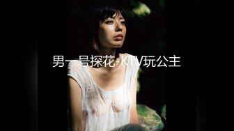 男一号探花-KTV玩公主