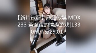 【新片速遞】麻豆传媒 MDX-233 圣诞夜的情趣游戏[1330M/TS/29:01]